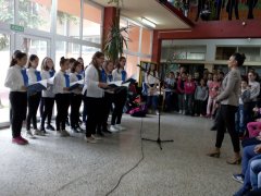 IMG_20190531_094902.jpg